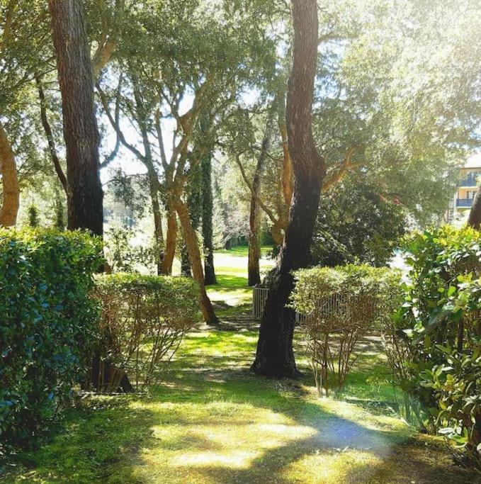 Appartement "Chez Mag Et Jo" Moliets-et-Maa Buitenkant foto